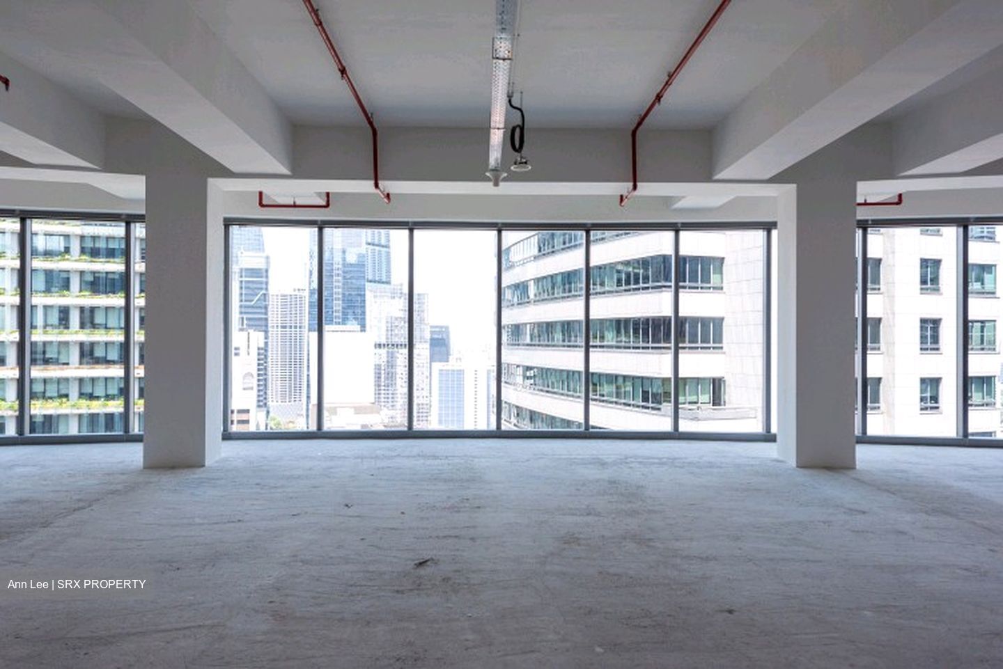 PLUS (D1), Office #559336431